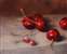 Five-Cherries-8X10.jpg